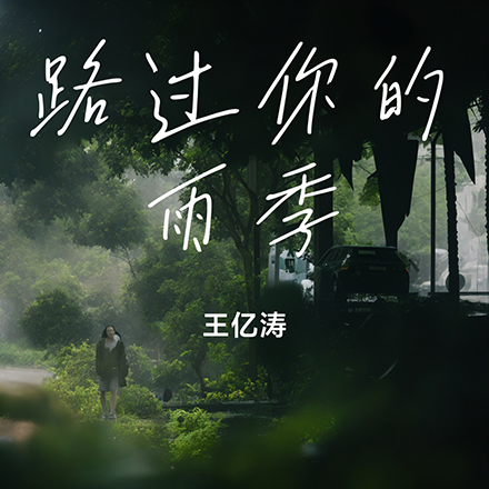 路过你的雨季